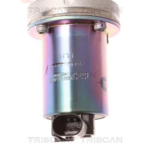 EGR ventil 8813 43001 /TRISCAN/ - obr. 1