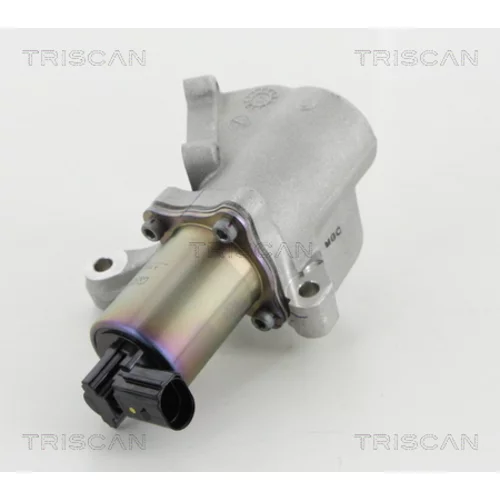 EGR ventil 8813 44009 /TRISCAN/