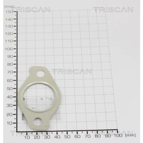 Tesnenie TRISCAN 8813 9960