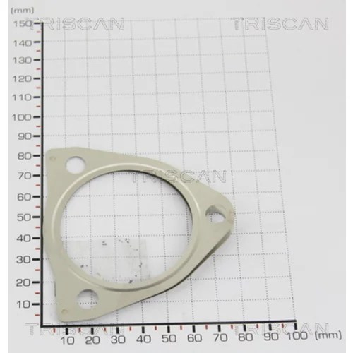 Tesnenie TRISCAN 8813 9999