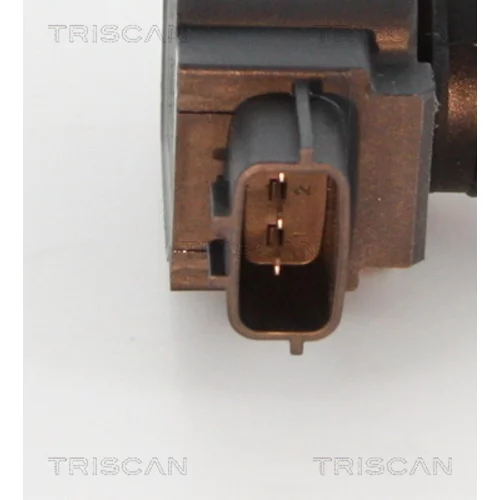 Zapaľovacia cievka 8860 10029 /TRISCAN/ - obr. 1