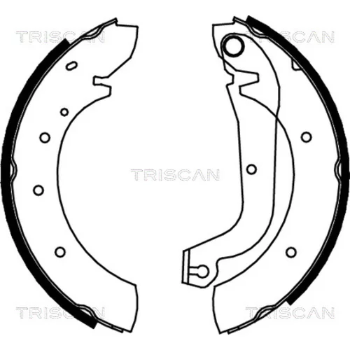 Sada brzdových čeľustí TRISCAN 8100 15480