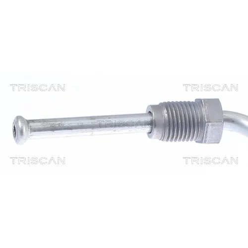 Brzdová hadica 8150 28271 /TRISCAN/ - obr. 1