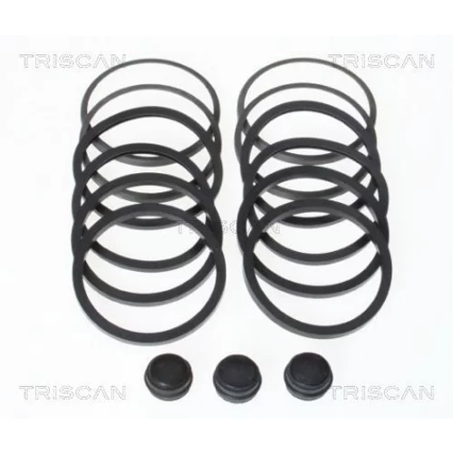Opravná sada brzdového strmeňa 8170 201581 /TRISCAN/
