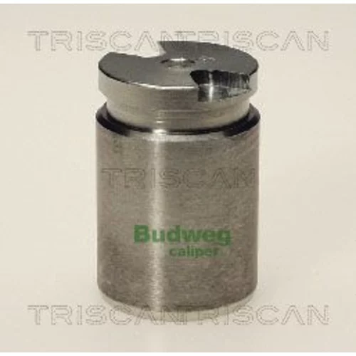 Piest brzdového strmeňa 8170 233013 /TRISCAN/