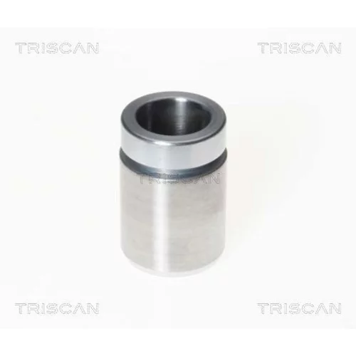 Piest brzdového strmeňa 8170 233308 /TRISCAN/
