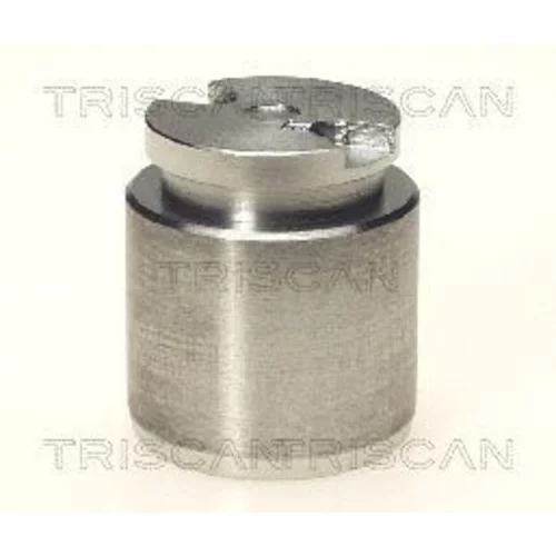 Piest brzdového strmeňa 8170 233514 /TRISCAN/