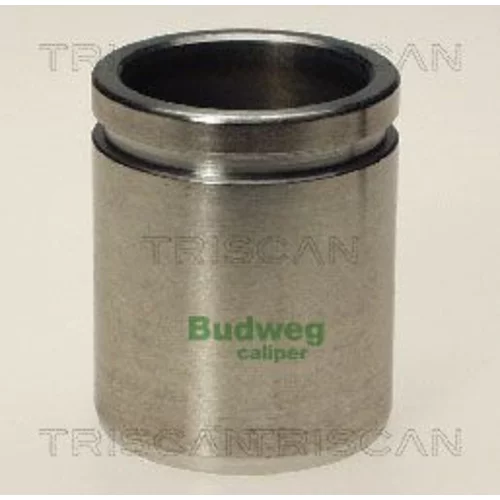 Piest brzdového strmeňa 8170 234009 /TRISCAN/