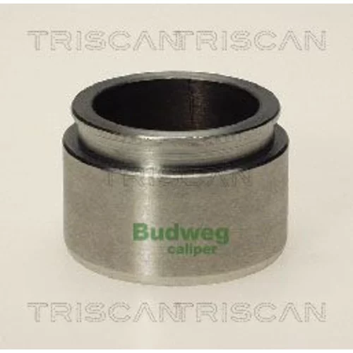 Piest brzdového strmeňa 8170 234321 /TRISCAN/