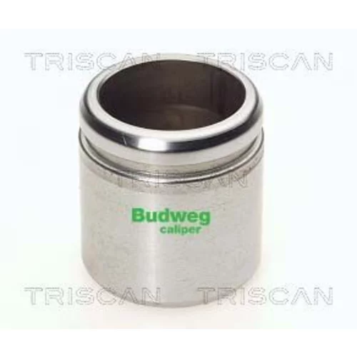 Piest brzdového strmeňa 8170 234417 /TRISCAN/