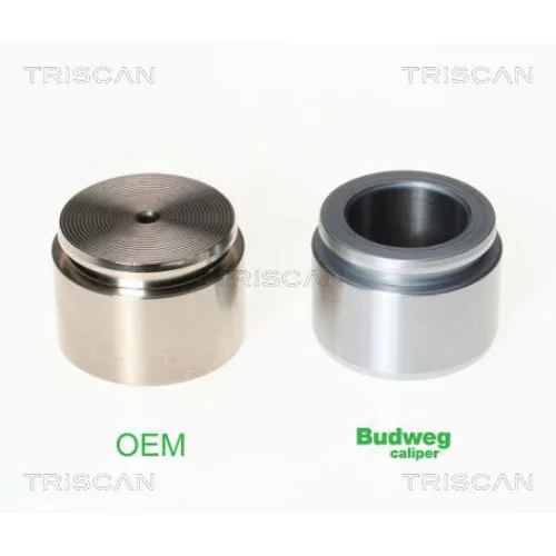 Piest brzdového strmeňa 8170 234420 /TRISCAN/