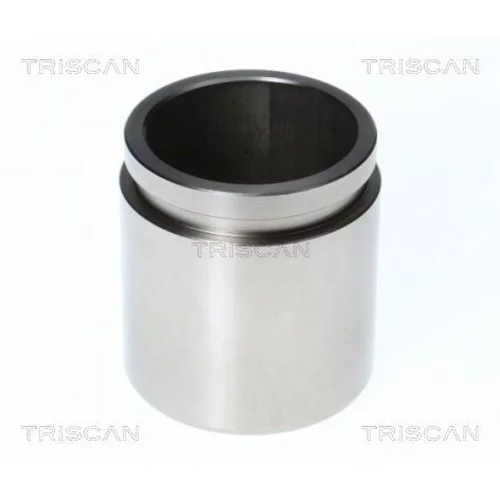 Piest brzdového strmeňa 8170 234530 /TRISCAN/