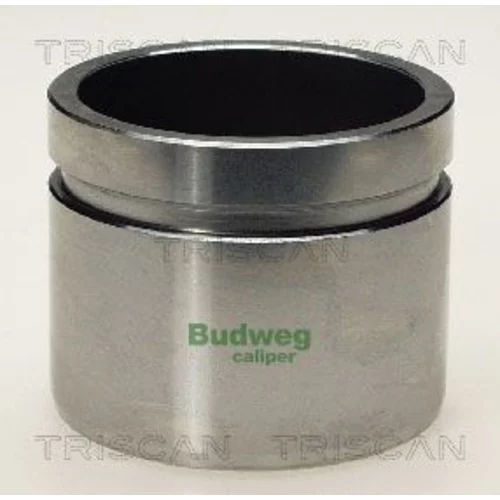 Piest brzdového strmeňa 8170 235452 /TRISCAN/