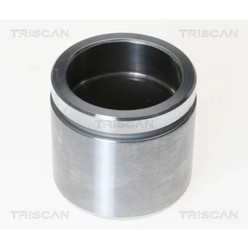 Piest brzdového strmeňa 8170 236057 /TRISCAN/