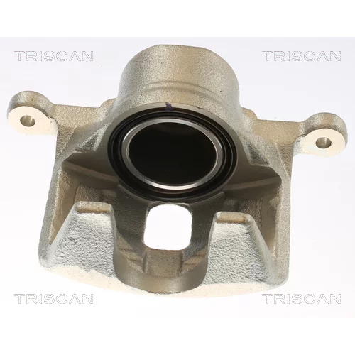 Brzdový strmeň TRISCAN 8175 69110