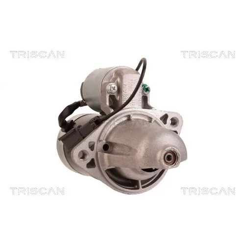 Štartér 8305 10084 /TRISCAN/ - obr. 7