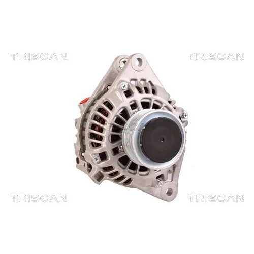 Alternátor 8310 10014 /TRISCAN/ - obr. 4