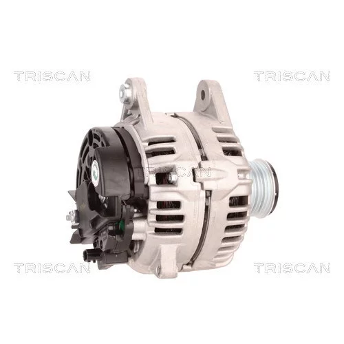 Alternátor 8310 10040 /TRISCAN/ - obr. 2