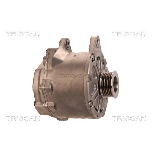 Alternátor 8310 10050 /TRISCAN/ - obr. 3