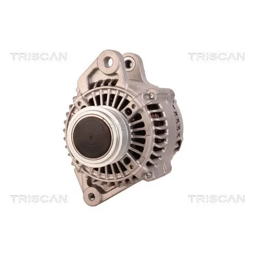 Alternátor 8310 10057 /TRISCAN/ - obr. 5