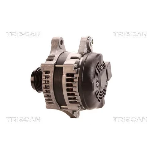 Alternátor 8310 10059 /TRISCAN/ - obr. 7