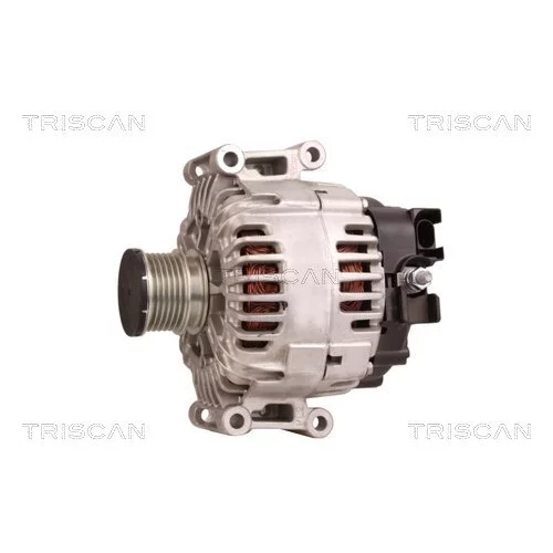 Alternátor 8310 10068 /TRISCAN/ - obr. 6