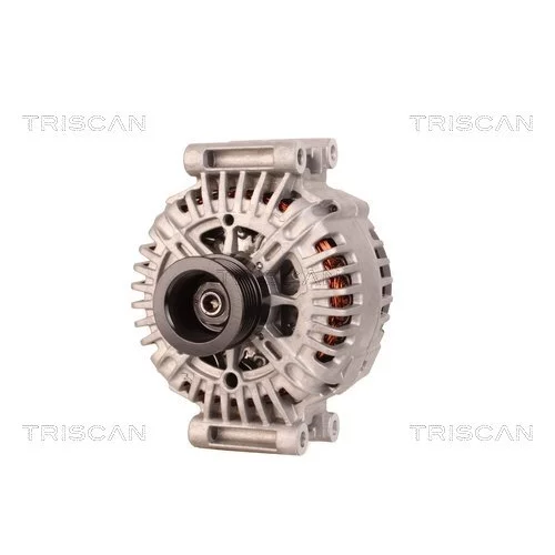 Alternátor 8310 10112 /TRISCAN/ - obr. 5