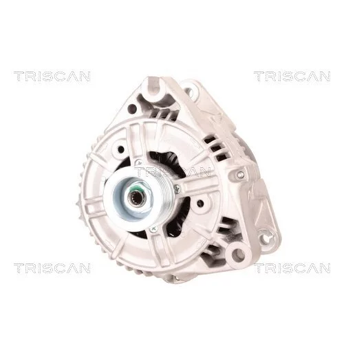 Alternátor 8310 10116 /TRISCAN/ - obr. 5