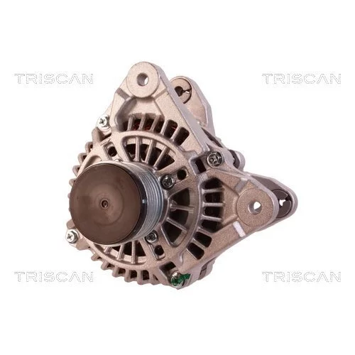 Alternátor 8310 10122 /TRISCAN/ - obr. 5