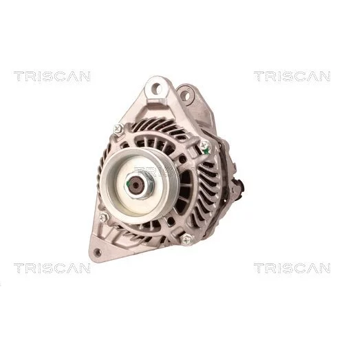 Alternátor 8310 10124 /TRISCAN/ - obr. 5