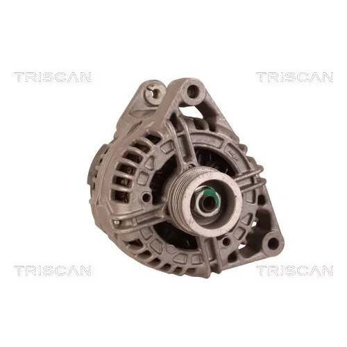 Alternátor 8310 10145 /TRISCAN/ - obr. 4