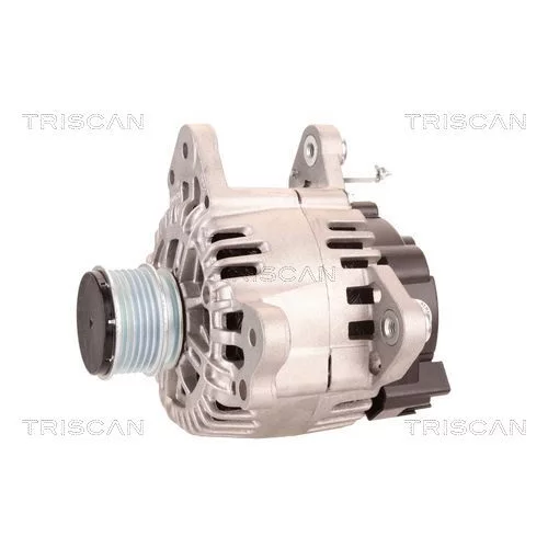 Alternátor 8310 10169 /TRISCAN/ - obr. 6