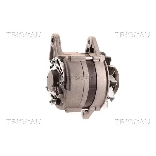 Alternátor 8310 10177 /TRISCAN/ - obr. 5