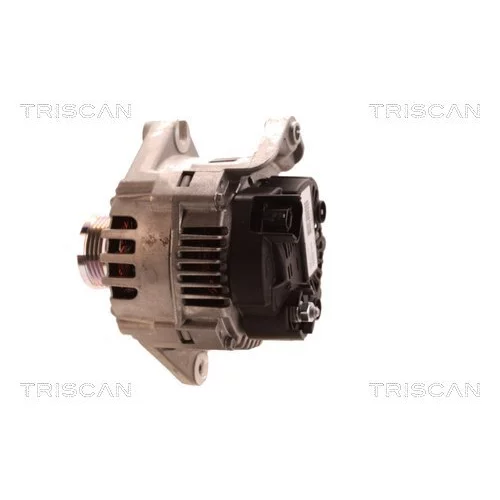 Alternátor 8310 13054 /TRISCAN/ - obr. 7