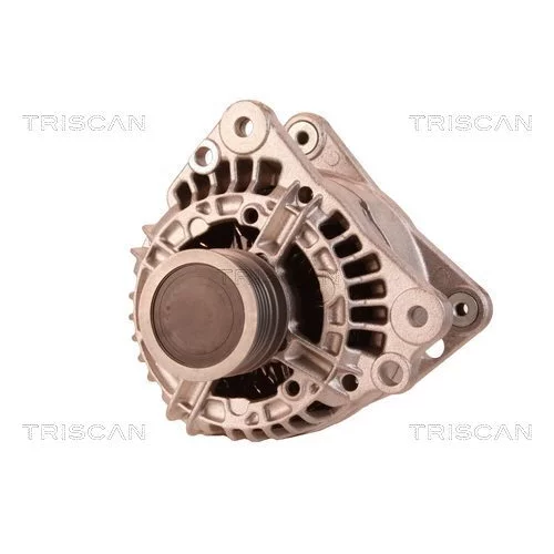 Alternátor 8310 13057 /TRISCAN/ - obr. 5