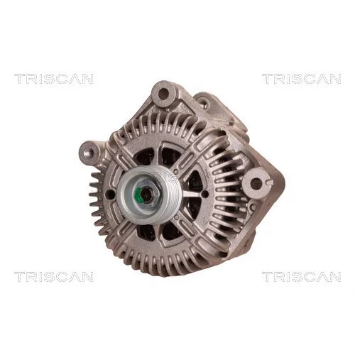 Alternátor 8310 14003 /TRISCAN/ - obr. 5