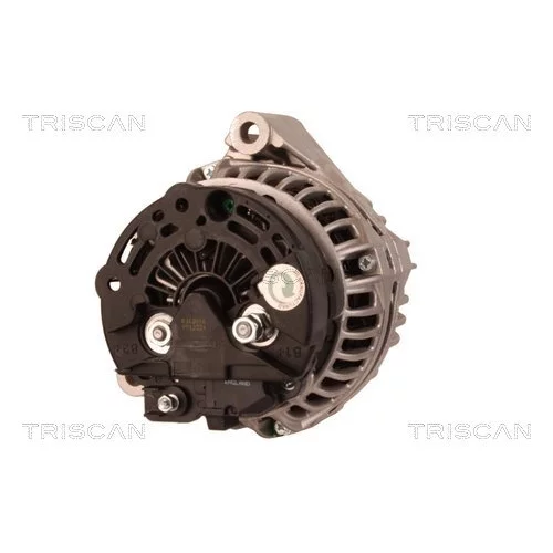 Alternátor 8310 14013 /TRISCAN/ - obr. 1