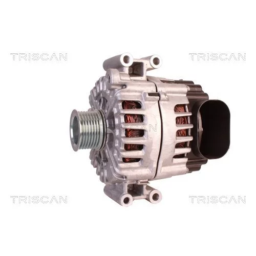 Alternátor 8310 14013 /TRISCAN/ - obr. 6