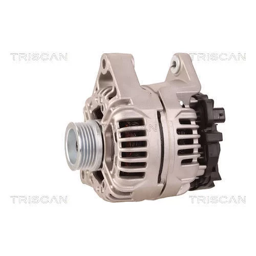 Alternátor 8310 16010 /TRISCAN/ - obr. 6