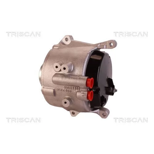 Alternátor 8310 16018 /TRISCAN/ - obr. 7