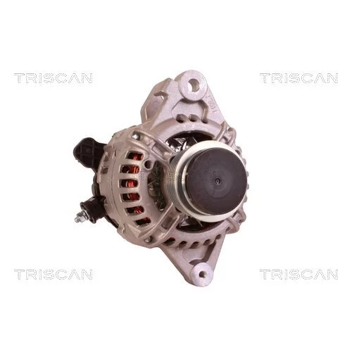 Alternátor 8310 17006 /TRISCAN/ - obr. 4
