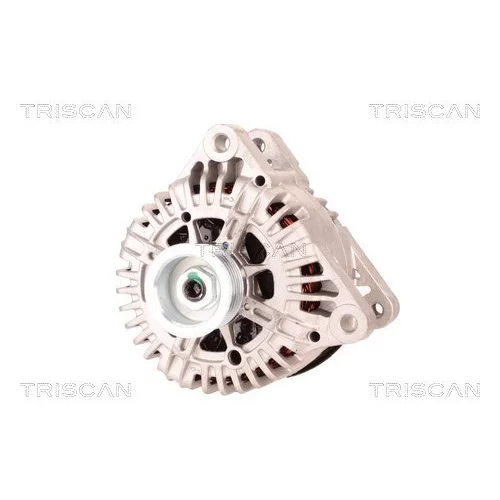 Alternátor 8310 23021 /TRISCAN/ - obr. 5
