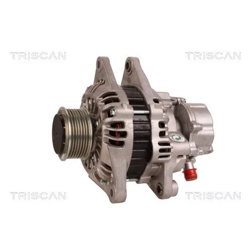 Alternátor 8310 24005 /TRISCAN/ - obr. 6