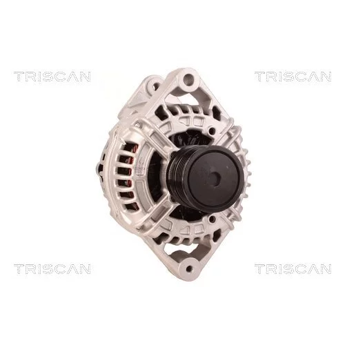 Alternátor 8310 24014 /TRISCAN/ - obr. 4