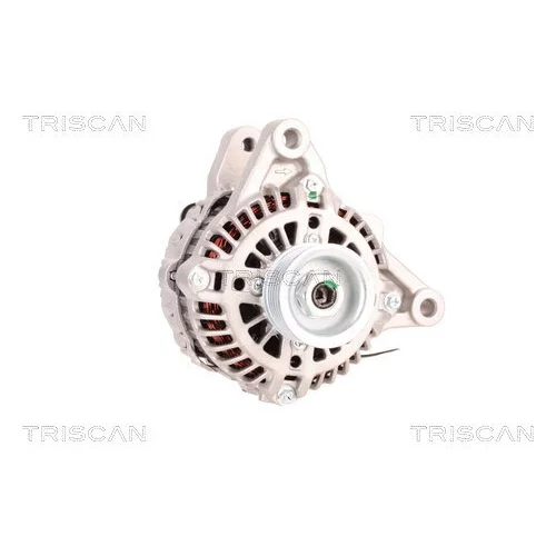 Alternátor 8310 24020 /TRISCAN/ - obr. 4