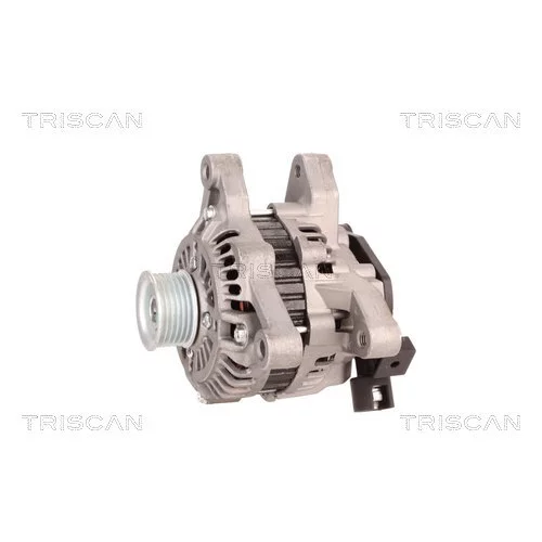 Alternátor 8310 24020 /TRISCAN/ - obr. 6
