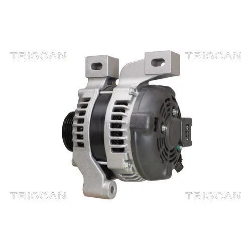 Alternátor 8310 25010 /TRISCAN/ - obr. 7