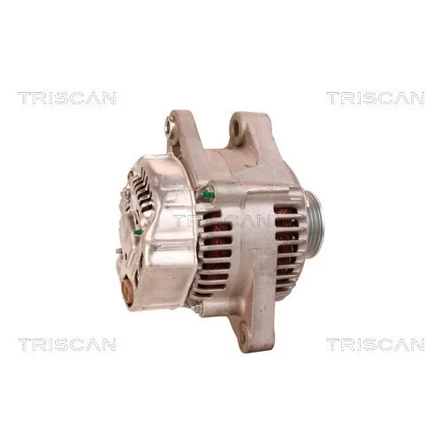 Alternátor 8310 28005 /TRISCAN/ - obr. 2