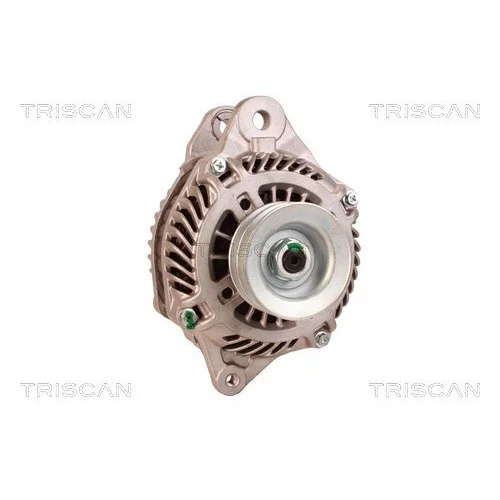 Alternátor 8310 29010 /TRISCAN/ - obr. 4