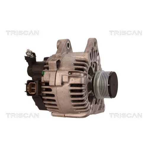 Alternátor 8310 29011 /TRISCAN/ - obr. 3